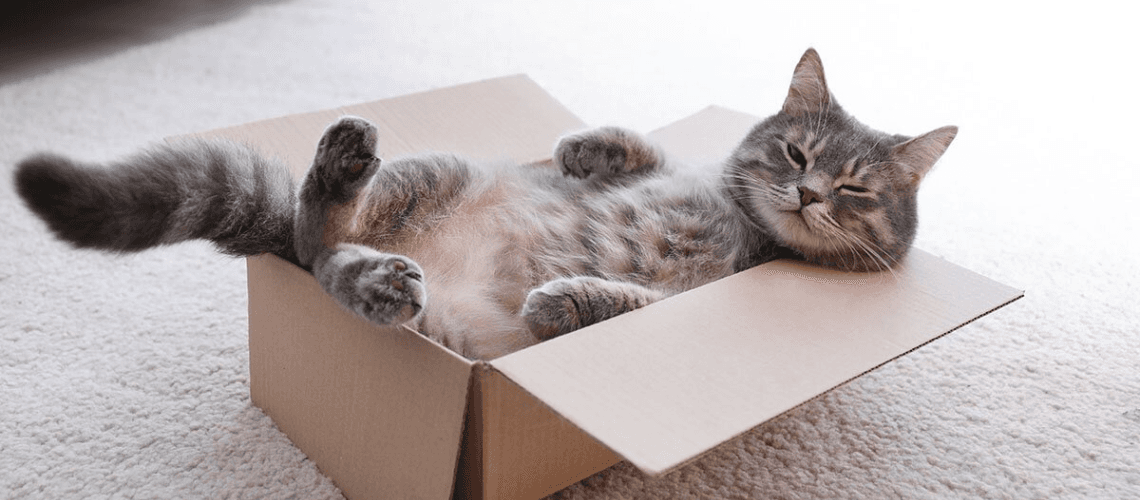 19 Hilarious Fundraising and Nonprofit Memes to Make You Laugh